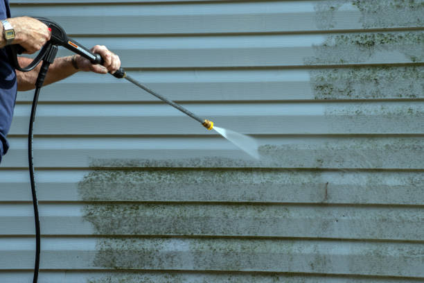 Best Gutter Cleaning and Brightening in Island Park, NY